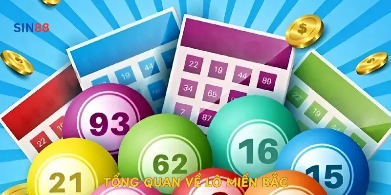 tong-quan-ve-lo-mien-bac