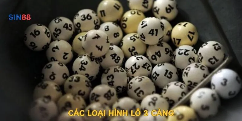 cac-loai-hinh-lo-3-cang