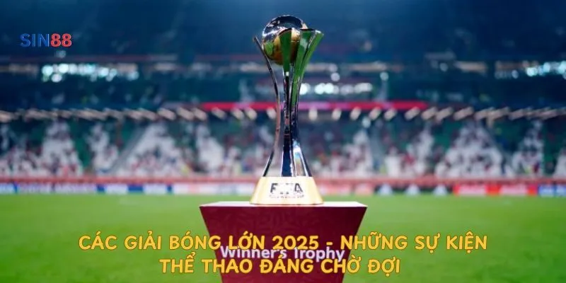 cac-giai-bong-lon-2025-nhung-su-kien-the-thao-dang-cho-doi